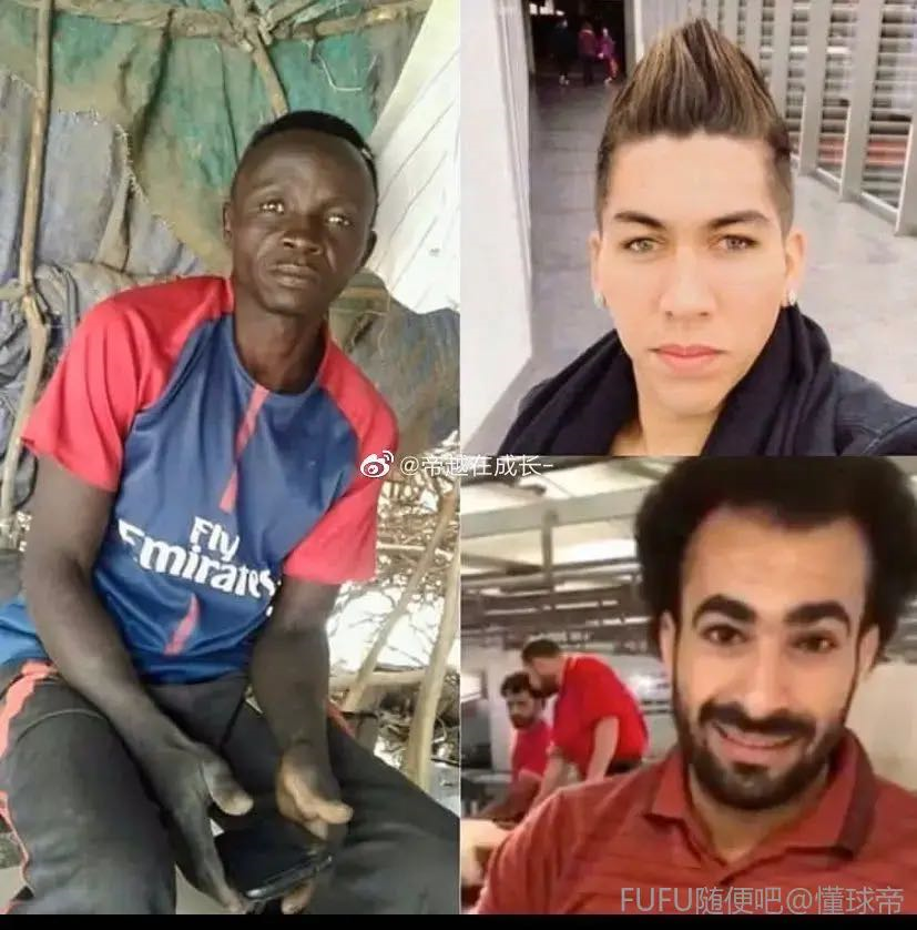 黄如论详细资料