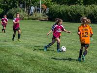 比利亚雷亚尔VS塞尔塔直播_比利亚雷亚尔VS塞尔塔直播观看免费_比利亚雷亚尔vs塞尔塔看球免费直播